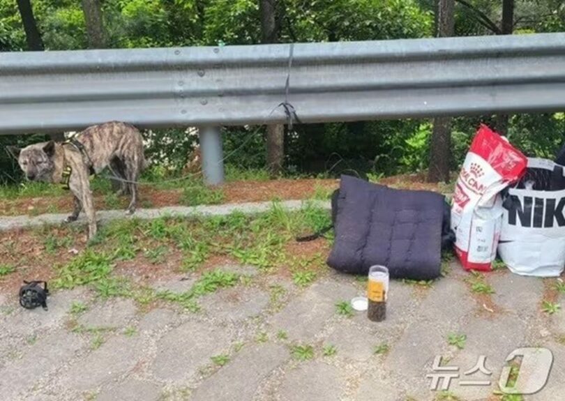 LCKDインスタグラム(c)news1