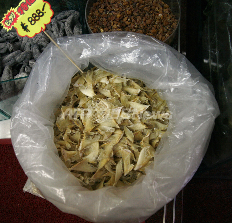 香港、「フカヒレ」の街