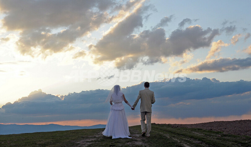 大草原でウェディング写真撮影、ポーランド