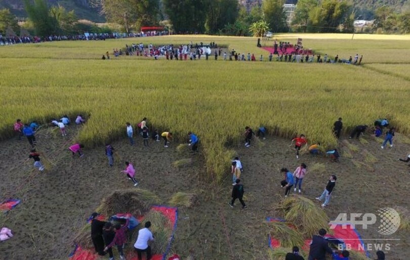 中国・ベトナム国境でチワン族の収穫祭