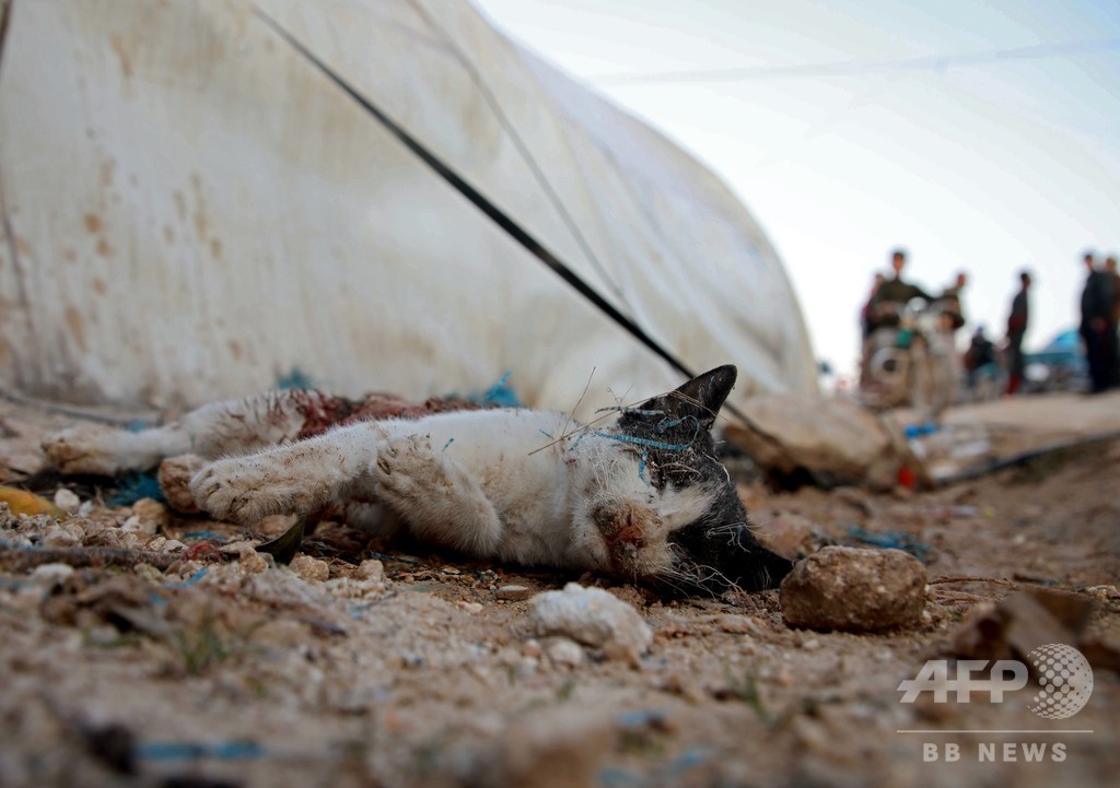 シリア避難民キャンプを政府軍が空爆 「子どもたちだ、テロリストじゃない」 シリア避難民キャンプを政府軍が空爆 「子どもたちだ、テロリストじゃない」