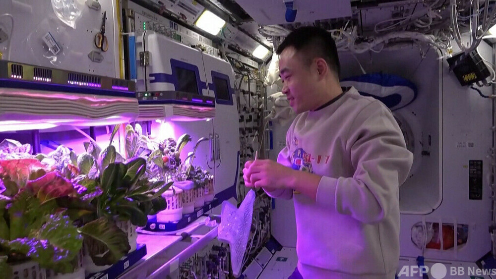 中国の有人宇宙船「神舟17号」、数々の宇宙科学実験で進展を見せる 写真1枚 国際ニュース：AFPBB News