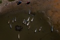 メキシコ・ハリスコ州のチャパラ湖で、元の湖岸沿いの遊歩道から約200m離れた場所に係留されたボート（2024年6月6日撮影）。(c)Ulises Ruiz / AFP