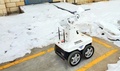 青海チベット鉄道グループが導入したAIロボット「ウォーリー」（撮影日不明）。(c)CNS/周賀