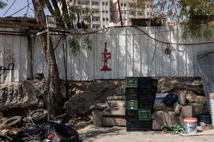 イスラエル軍、火炎瓶投げたとしてヨルダン川西岸の10代2人を殺害