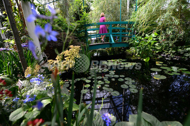 巨匠モネの庭園、NY植物園に再現 写真12枚 国際ニュース：AFPBB News