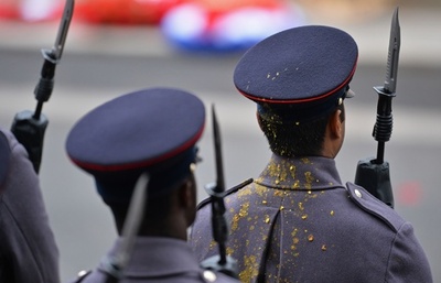 式典中に鳥のふん直撃！？兵士は動じず 英