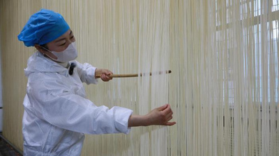 甘粛・民勤　麦から麺までの産業チェーン