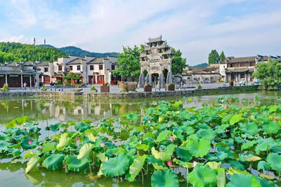 中国の観光村が世界の注目を集める