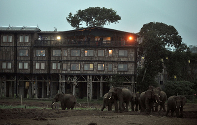 中国人観光客同士のトラブルで夫婦殺傷、ケニア