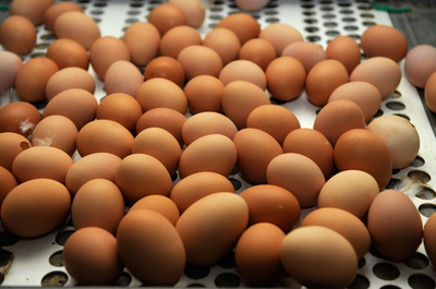 フランスで深刻な卵不足、新EU規定に菓子メーカーら悲鳴
