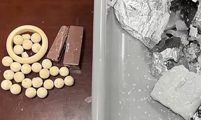 粉ミルク缶やアクセサリーから大量の象牙製品とチョウ標本を押収 中国広州