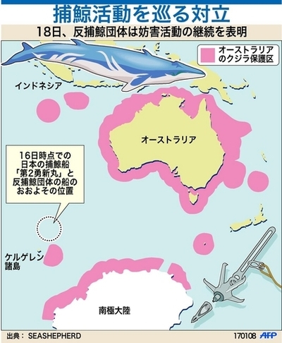 【図解】南極海での日本の調査捕鯨活動を巡る対立