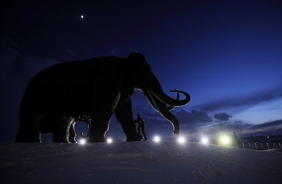 マンモス絶滅の原因は気候変動や「狩り」ではない、研究