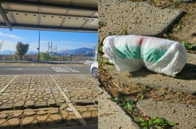 韓国・失われた公共マナー…「使用済み」オムツ投棄に怒り心頭「自分だけきれいならそれでいい？」