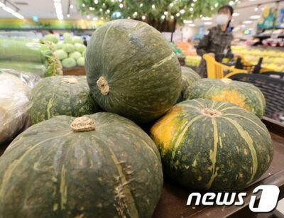 韓国で未承認遺伝子組み換え「カボチャ」9件、追加で発見