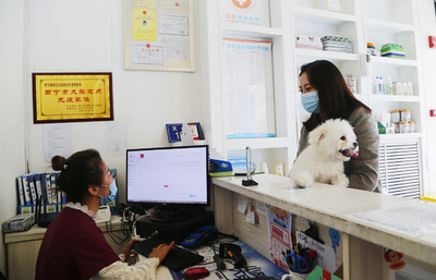 ペット医療産業の急拡大、新たな問題も