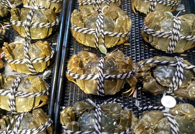 狩漁解禁日前の上海ガニが市場に流通？ 認証ラベルも偽造か