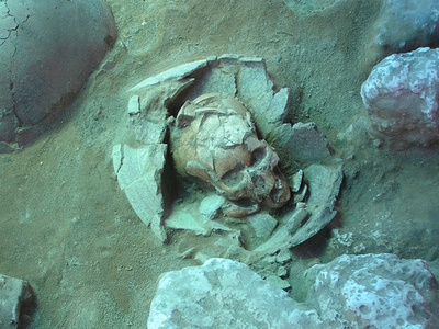 南太平洋バヌアツとトンガ、島民の祖先はアジア人 研究で明らかに