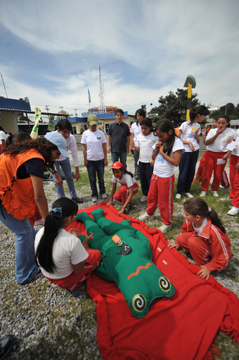 要救護者はカエル！でも、まじめな訓練です