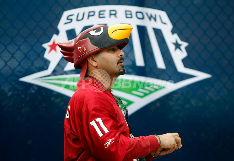 観戦を楽しむファン、NFL第43回スーパーボウル