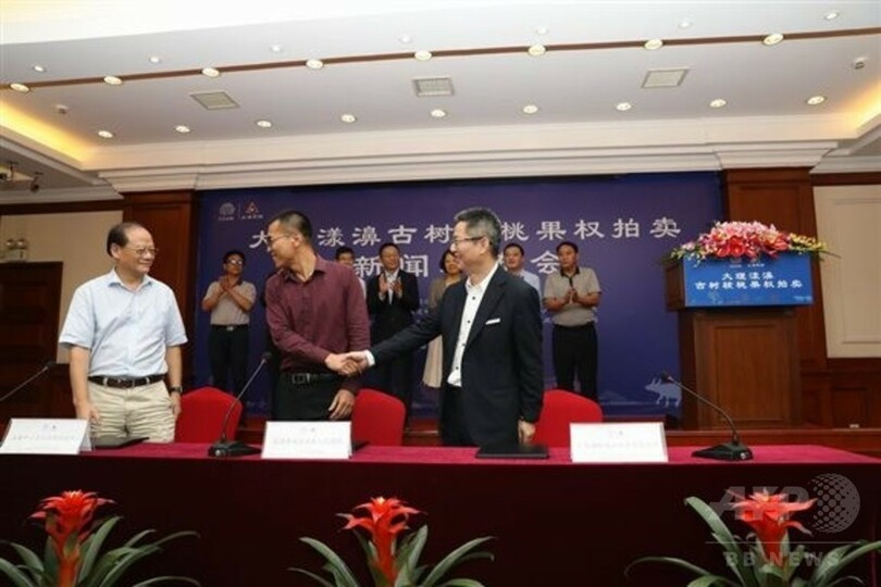樹齢100年以上のクルミの木の収穫を2年間得られる権利、中国でチャリティーオークション