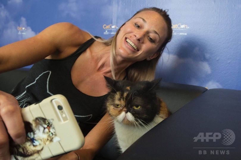 愛猫家のイベント Catconla 今年も開催 米la 写真枚 国際ニュース Afpbb News