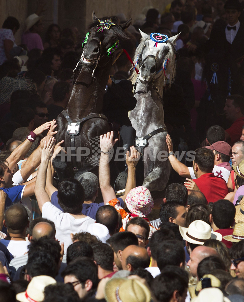 スペイン メノルカ島のサン フアン祭り 勇壮な馬のパレード 国際ニュース Afpbb News