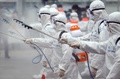 韓国で、新型コロナウイルスの感染拡大を受け消毒剤を散布する作業員ら（2020年2月29日撮影）。(c)YONHAP / AFP