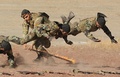 アルメニアの首都エレバン（Yerevan）郊外で開催されたアルメニア軍偵察部隊の結成記念日の祝賀行事で、パフォーマンスを披露する兵士たち（2013年11月5日撮影）。(c)AFP/KAREN MINASYAN