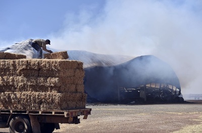 オーストラリア南部で森林火災、住宅地に延焼 2人死亡