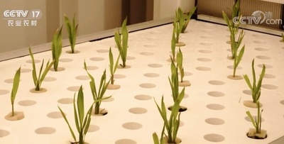 質の高い自然科学研究への貢献度 中国が初めて米国を抜いた