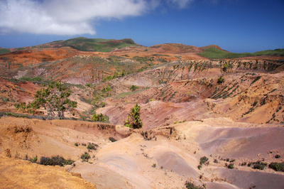 自称「国王」が勝手に貨幣印刷、通貨偽造で有罪 仏領ポリネシア