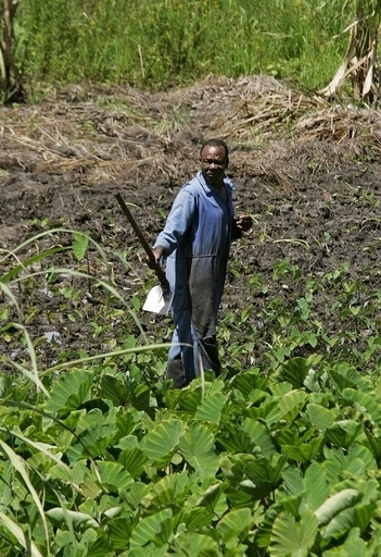 「土壌放出のCO2は過小評価されている」、フィンランド環境機構