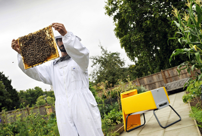 自宅の庭で手軽に養蜂を、新型巣箱「ビーハウス」英国で発売