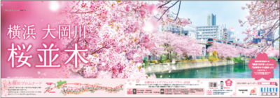 大岡川さくらデジタルスタンプラリーを開催します