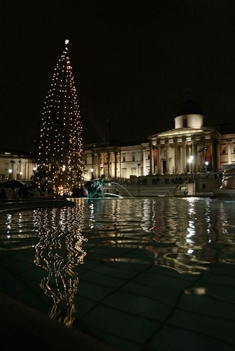 アンハッピーなクリスマスを迎える夫婦に「離婚ギフト券」、英法律事務所