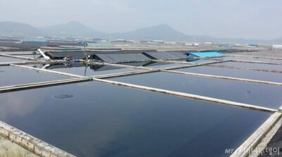 韓国・最低賃金に満たない塩田の求人…「かつての奴隷労働事件を思い出させる」と騒動