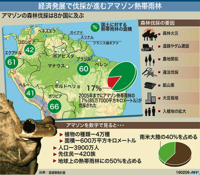 【図解】伐採が進むアマゾン熱帯雨林