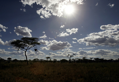 世界遺産セレンゲティ国立公園をおびやかす「横断ハイウエー」計画