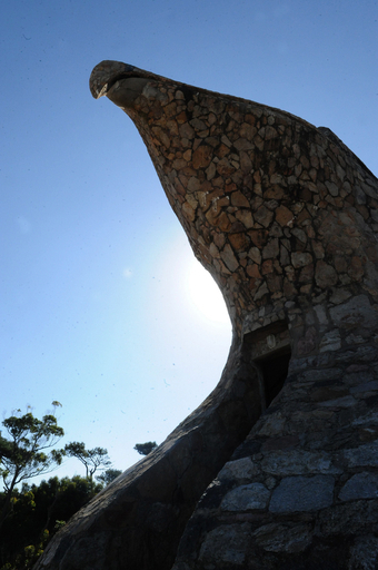 ワシのくちばしの上で愛を語らいませんか？ウルグアイ