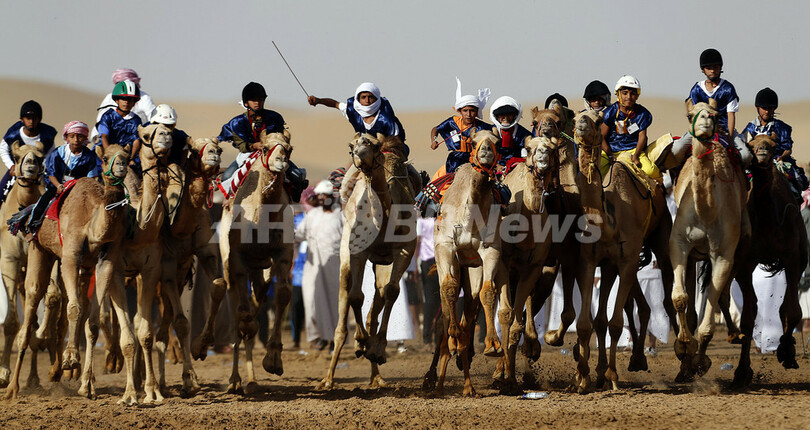 伝統のラクダレース、アブダビで開催