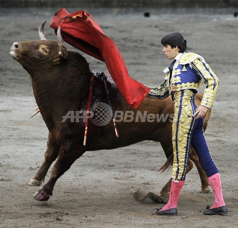 バスクの祭りで闘牛大会