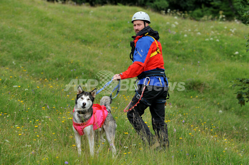 雪崩救助の訓練、ヘリから降下する捜索犬 ドイツ