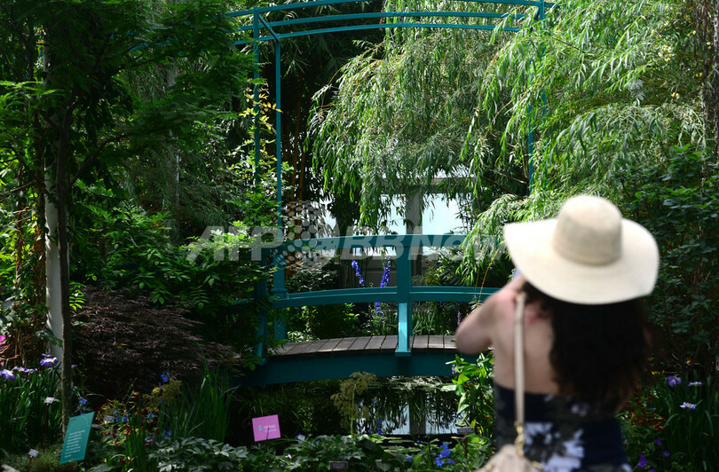 巨匠モネの庭園、NY植物園に再現