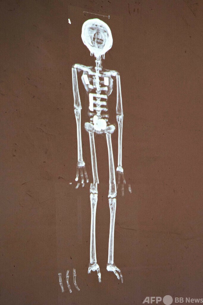 「地球外生命体」のミイラは偽物 ペルー政府見解