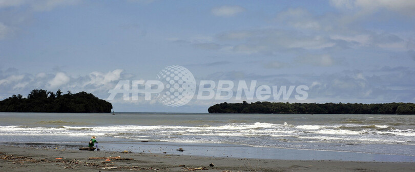 コロンビアの海ではねるザトウクジラ