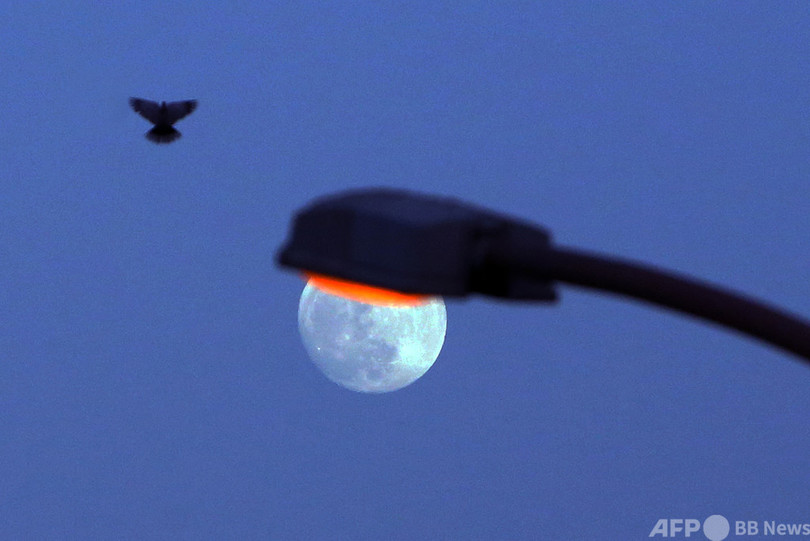 今日の1枚 今日の街灯はやけに明るいな 写真2枚 国際ニュース Afpbb News