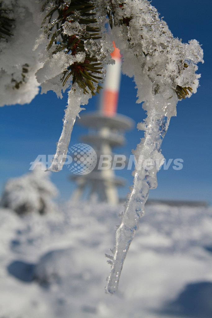 欧州各地の雪景色、風車から羊まで