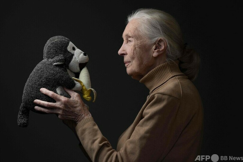 ワトソン容疑者は「勇敢」 霊長類学者グドール氏、仏に亡命認定呼び掛け